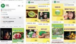 百果园爆料视频大全最新,新鲜水果盛宴，揭秘行业秘密